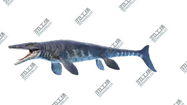 images/goods_img/20210312/Tylosaurus 3D model/2.jpg